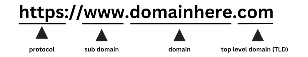 WordPress Domain Cost